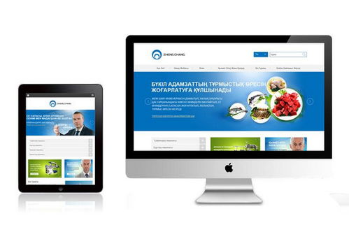 廣州網(wǎng)絡(luò)公司 引領(lǐng)企業(yè)數(shù)字化升級，專業(yè)網(wǎng)站改版與廣告業(yè)務(wù)新篇章